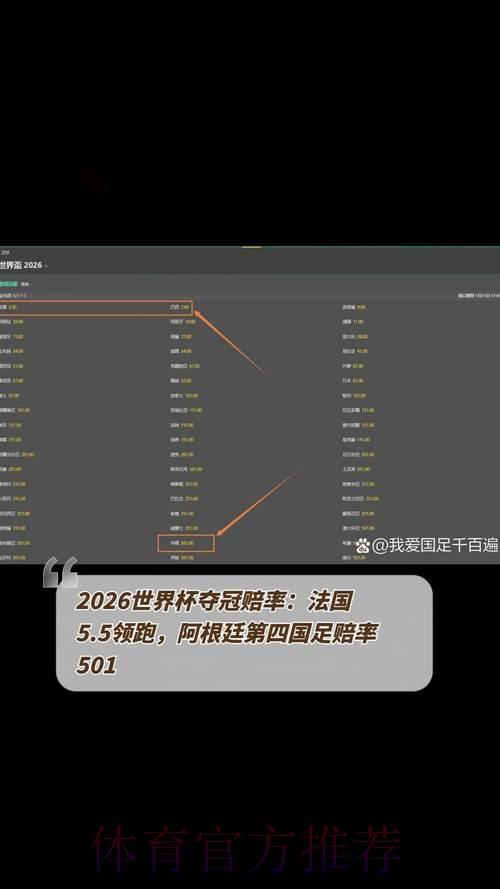 2026年世界杯冠军赔率深度解析